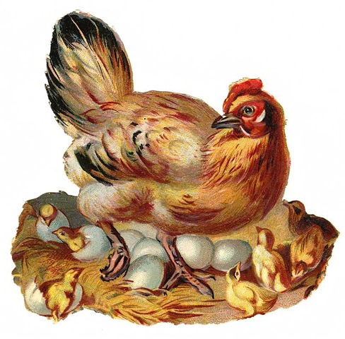 Free Vintage Chicken And Baby Chicks Easter Clip Art