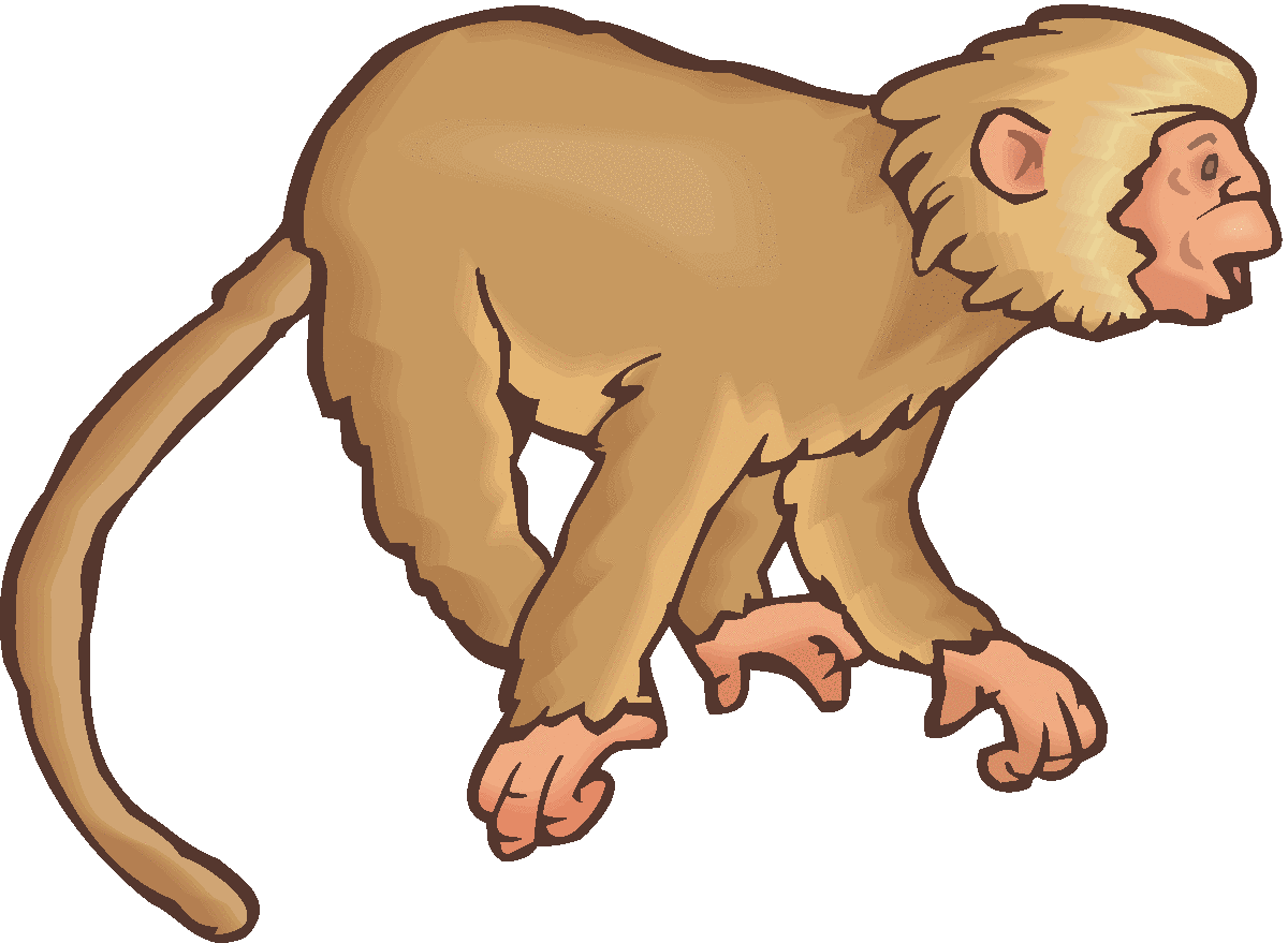 free download clipart monkeys in trees
