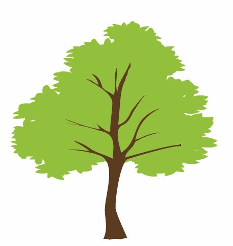 Name  Tree Vector
