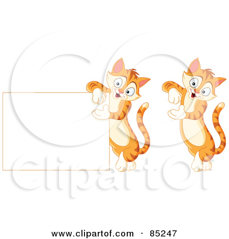 Related Pictures Ginger Striped Cat 507 X 338 66 Kb Jpeg Credited