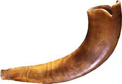 Shofar Pics   View Large Collection Of Shofar Pictures   Jewish Art