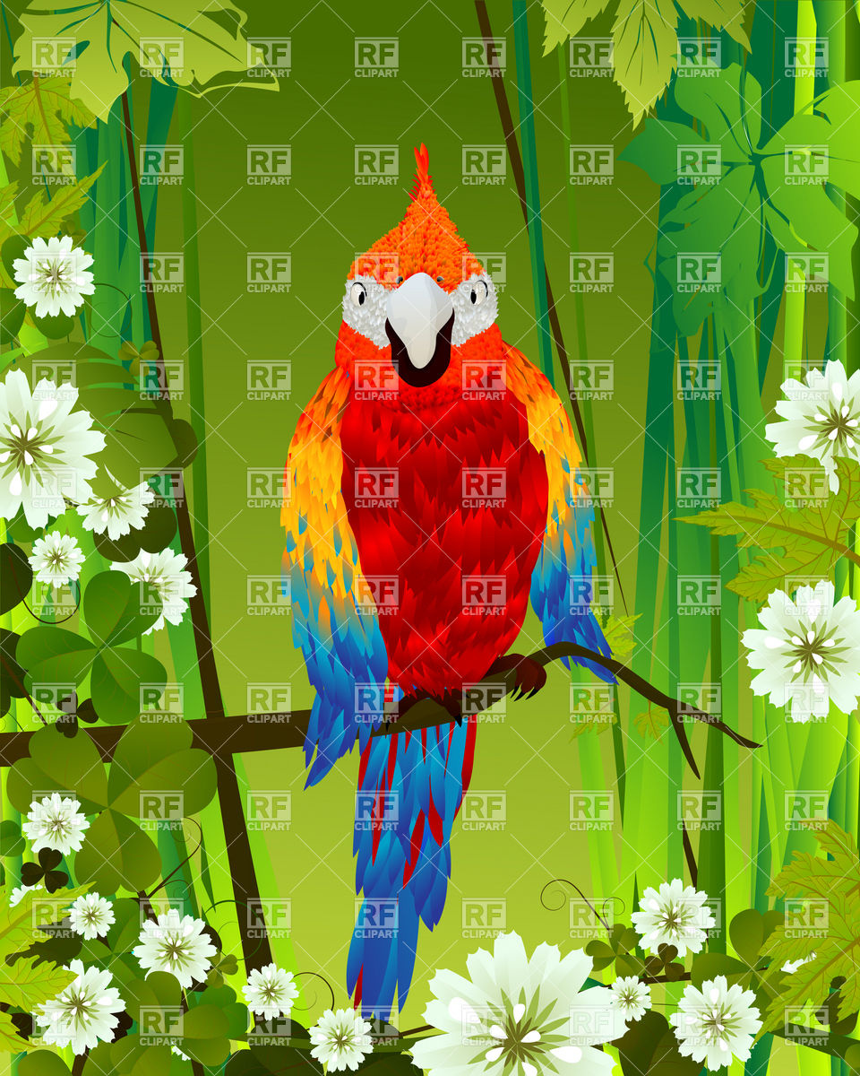 Tropical Parrot Sitting On A Branch 6475 Download Royalty Free