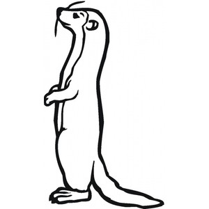 9333882 Standing Weasel   Clipart Panda   Free Clipart Images