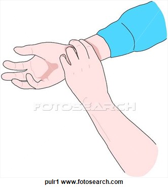 Clipart Of Pulse Radial Artery Pulr1   Search Clip Art Illustration