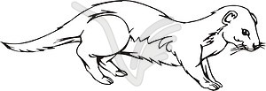 Least Weasel   Vector Clipart