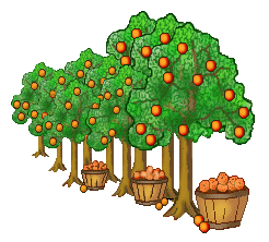 Orange Tree Clip Art   Baskets Of Oranges And Trees