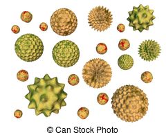 Pollen Stock Illustrations  6618 Pollen Clip Art Images And Royalty