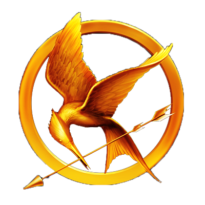 The Hunger Games By Ricchi Com On Deviantart