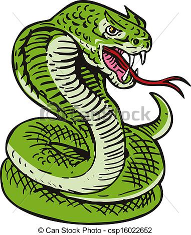 Viper Snake    Csp16022652   Search Clipart Drawings Illustration