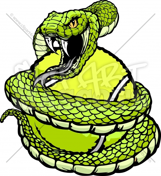 Viper Tennis Clipart   Snake Coiled Around A Tennis Ball