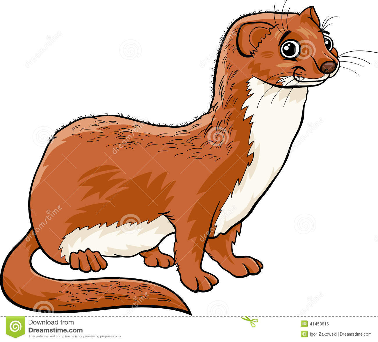 Weasel Animal Cartoon Illustration Stock Vector   Image  41458616