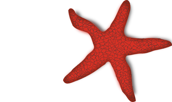Addon Red Starfish Clip Art At Clker Com   Vector Clip Art Online    