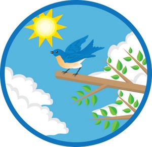 Blue Bird Sitting On A Tree Branch In The Daytime Clipart