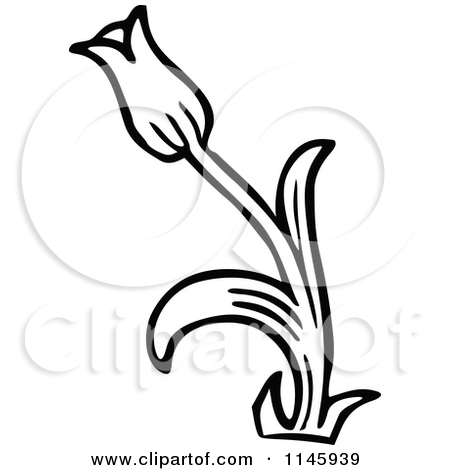 Clipart Of A Retro Vintage Black And White Tulip Plant   Royalty Free    