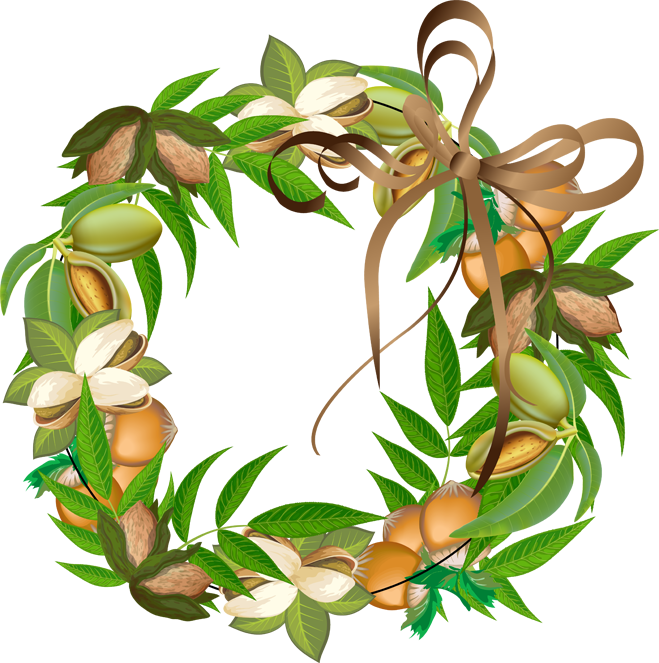 Fall Wreath Made Of Nuts Png   Clipart Best   Clipart Best