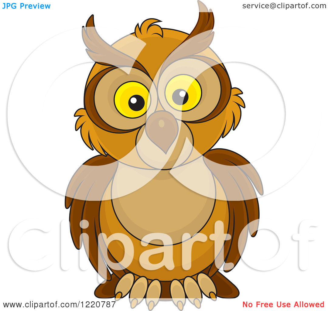 Owl Eyes Clip Art