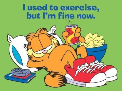 Useful Remnants  Favorite Quotes From Garfield The Cat