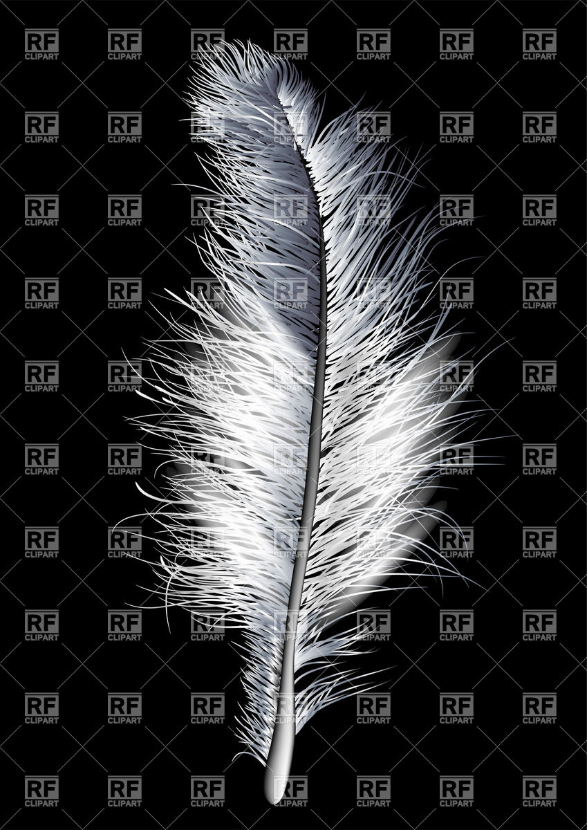 White Feather 25493 Objects Download Royalty Free Vector Clipart