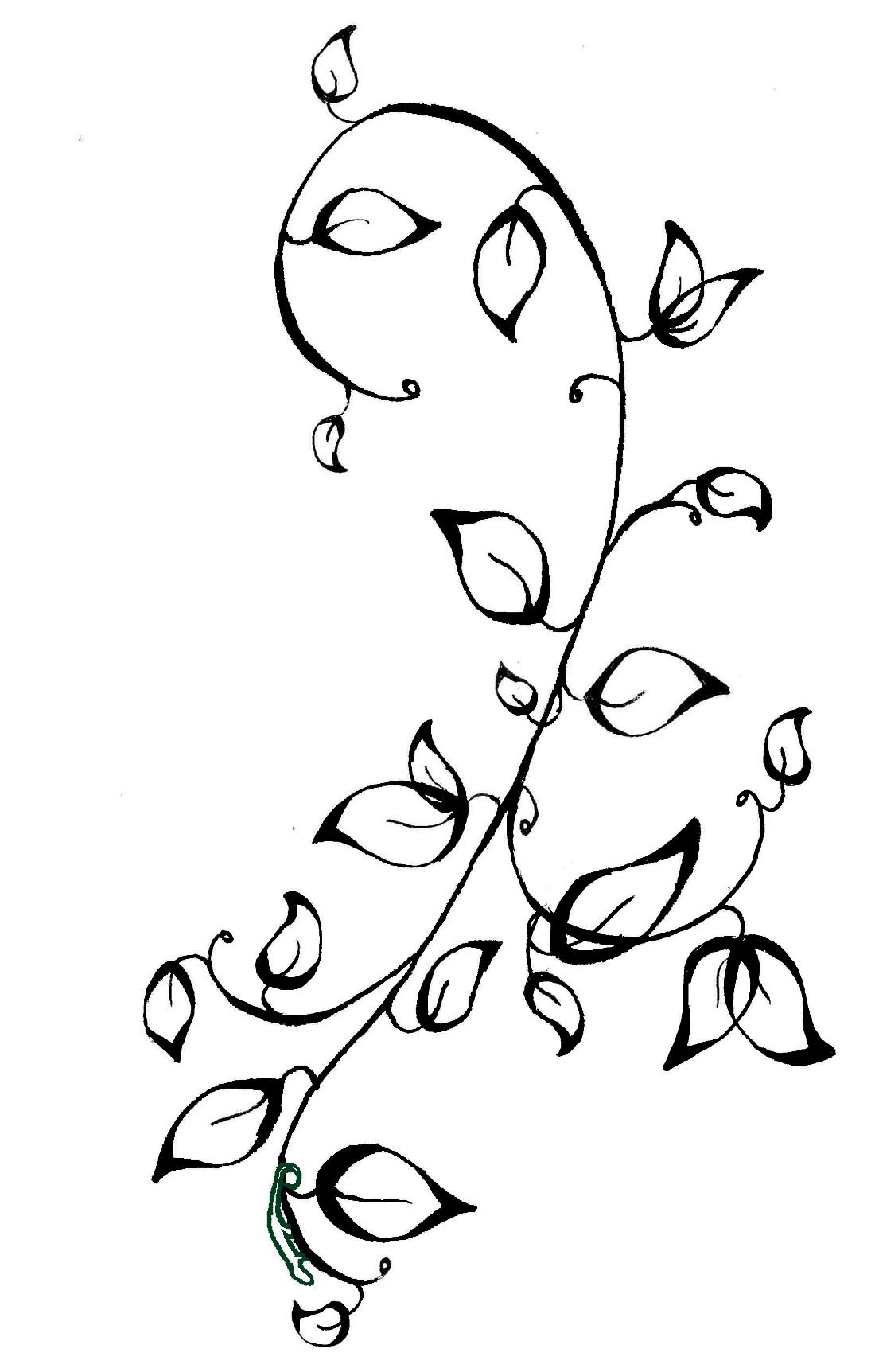25 Flower Vine Drawings Free Cliparts That You Can Download To You