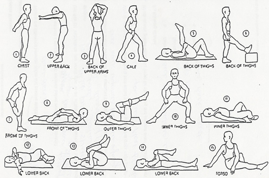 Exercises   Physio On The Move