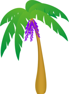 Good Pix For   Hawaiian Palm Trees Clipart