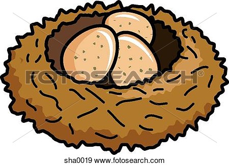 Illustration Of Birds Nest With Eggs Sha0019   Search Vector Clipart