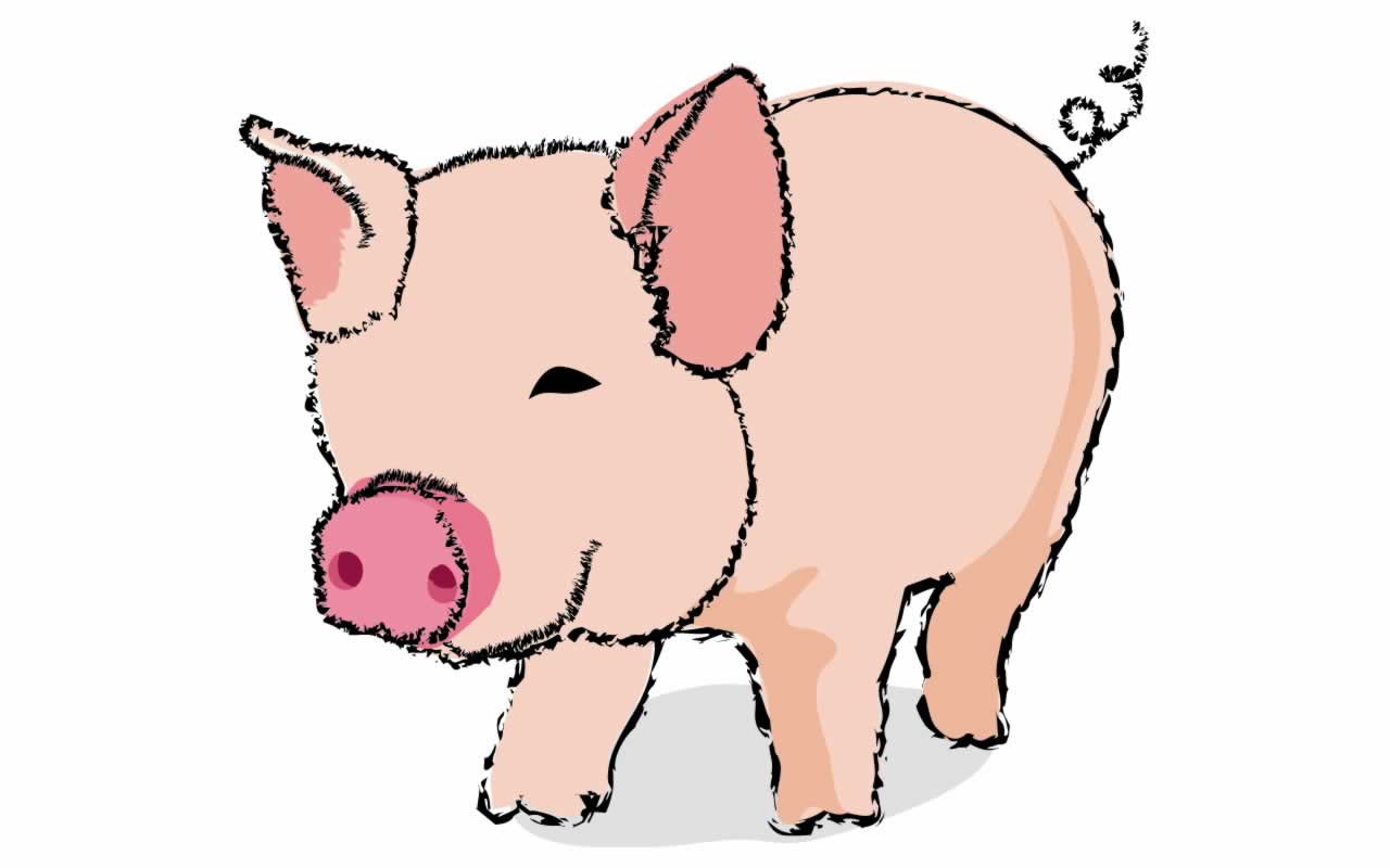 Pig Cartoon Picture Is A Great Wallpaper For Your Computer Desktop And