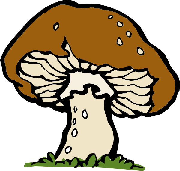 Big Mushroom Clip Art At Clker Com   Vector Clip Art Online Royalty    