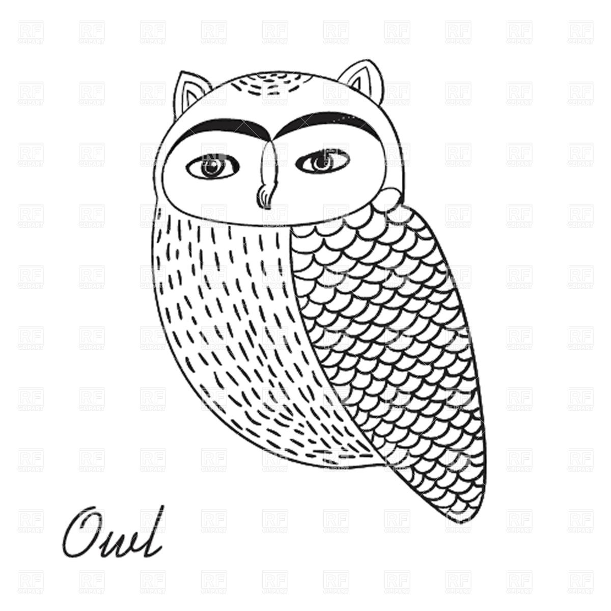 Cute Hand Drawn Owl Bird Illustration 21151 Download Royalty Free