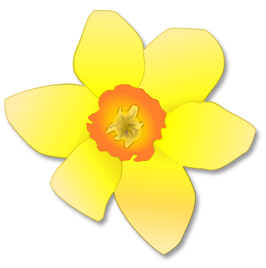 Daffodil Bloom   Http   Www Wpclipart Com Plants Flowers Daffodil    