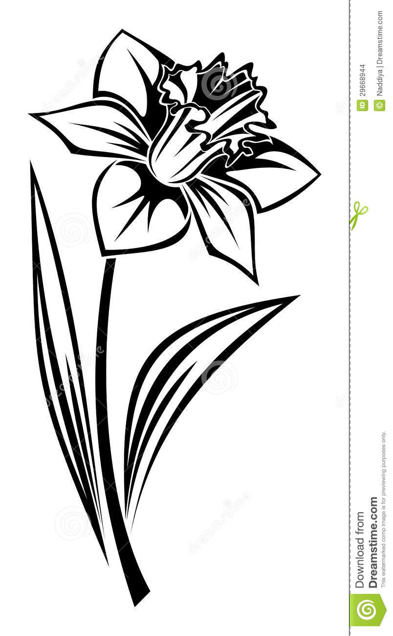 Daffodil Flower Clip Art   Clipart Panda   Free Clipart Images