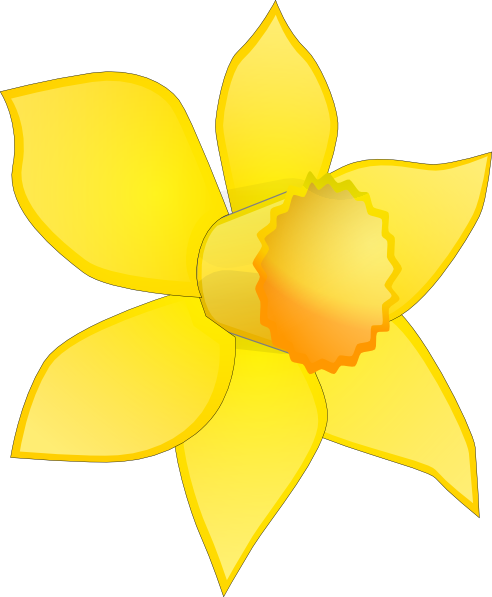 Daffodil Image Stripped Clip Art At Clker Com   Vector Clip Art Online    