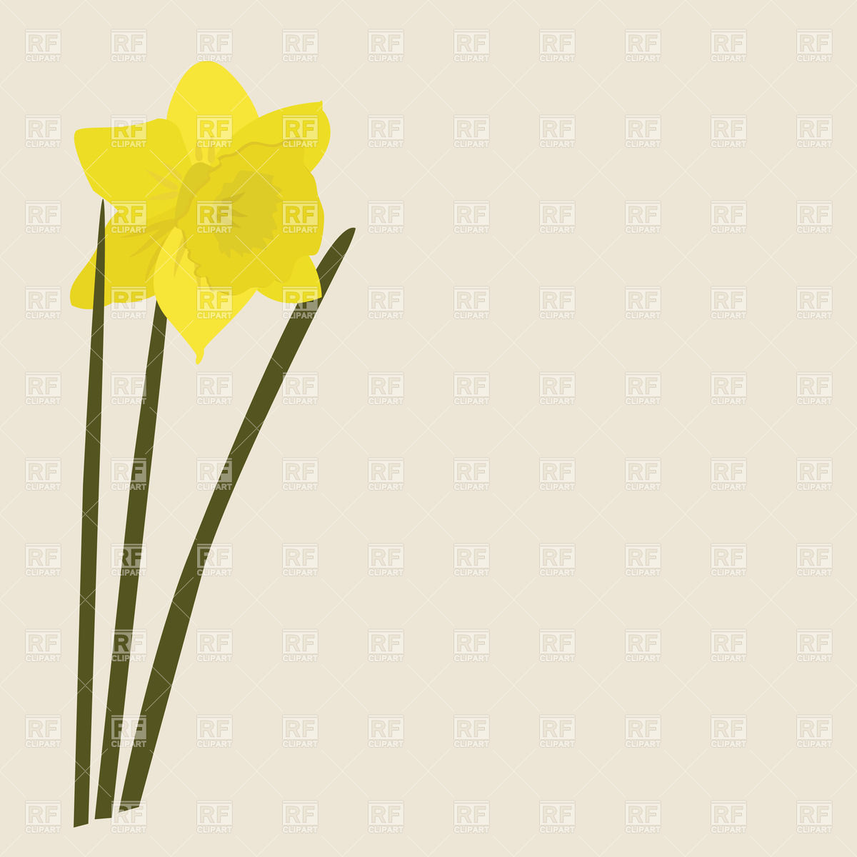 Daffodil   Yellow Narcissus Download Royalty Free Vector Clipart  Eps    