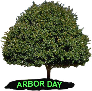 Free Arbor Day Clipart   Gifs