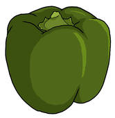 Green Bell Pepper Illustration   Clipart Graphic