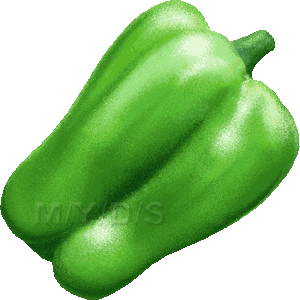 Green Pepper Bell Pepper Clipart   Free Clip Art
