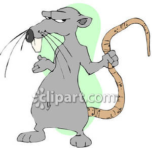 Mean Looking Rat   Royalty Free Clipart Picture