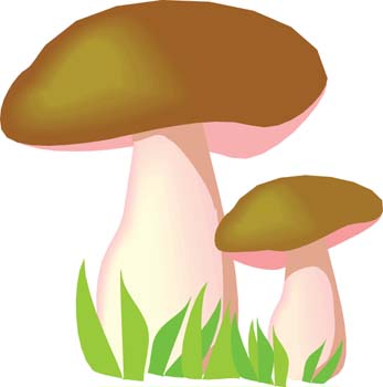 Mushroom 2 Clip Arts Free Clipart   Clipartlogo Com