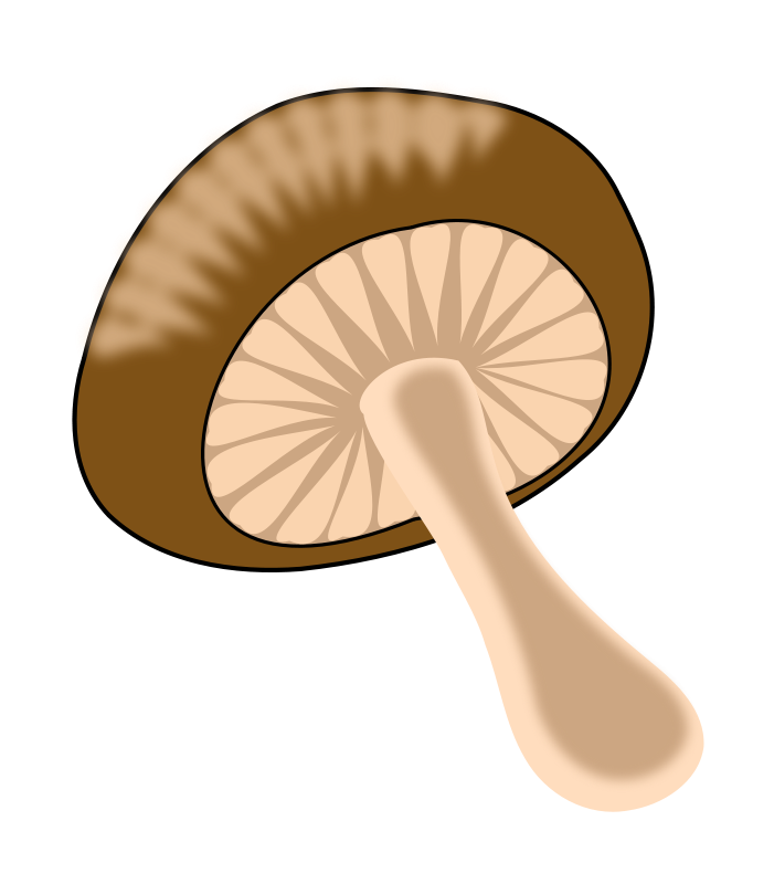 Mushroom Food Clip Art Images   Pictures   Becuo