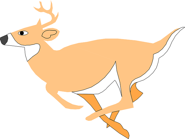 Olain Deer Clip Art At Clker Com Vector Clip Art Online Royalty