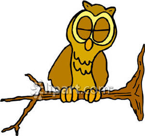 Sleeping Owl On A Tree Branch   Royalty Free Clipart Picture