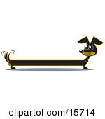 Very Long Dachshund Dog Looking Back At His Tail Clipart Illustration