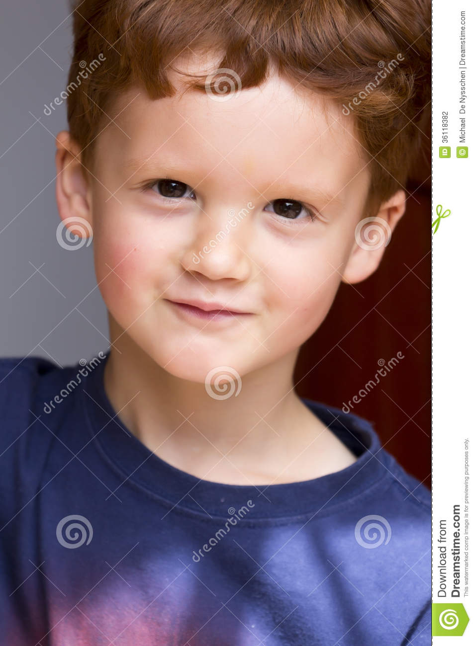 Young Boy With Auburn Or Red Hair And Brown Hair  He Is Looking At
