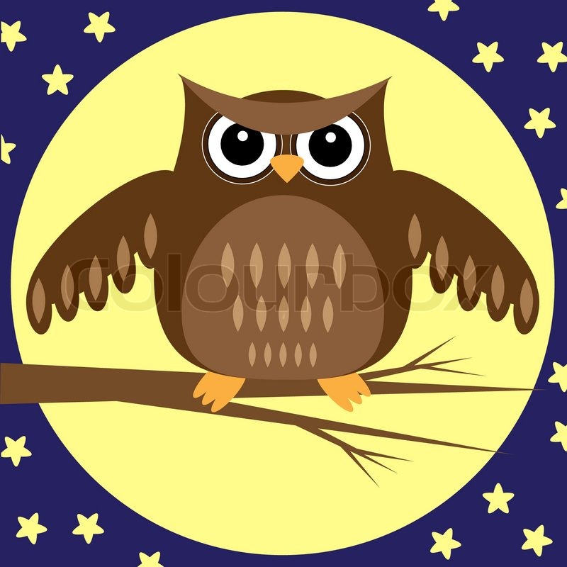Stock Vektor Von  Owl At Night