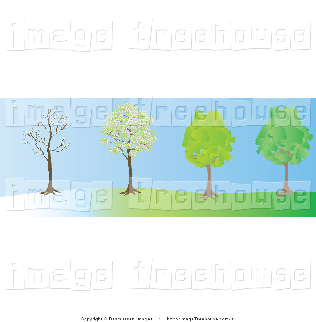Vector Clipart Of A Tree During Different Stages In The Winter Spring