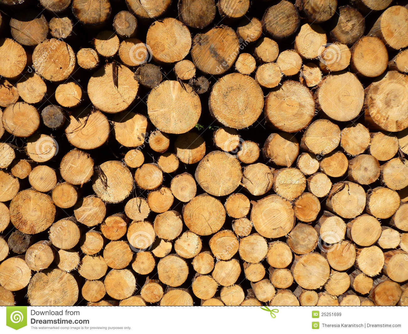 Wood Pile Royalty Free Stock Images   Image  25251699