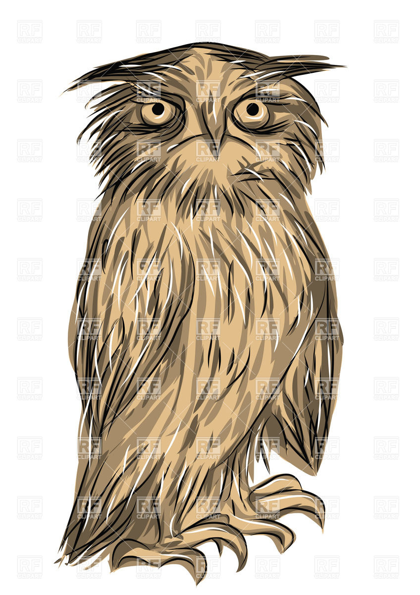 Angry Owl Download Royalty Free Vector Clipart  Eps