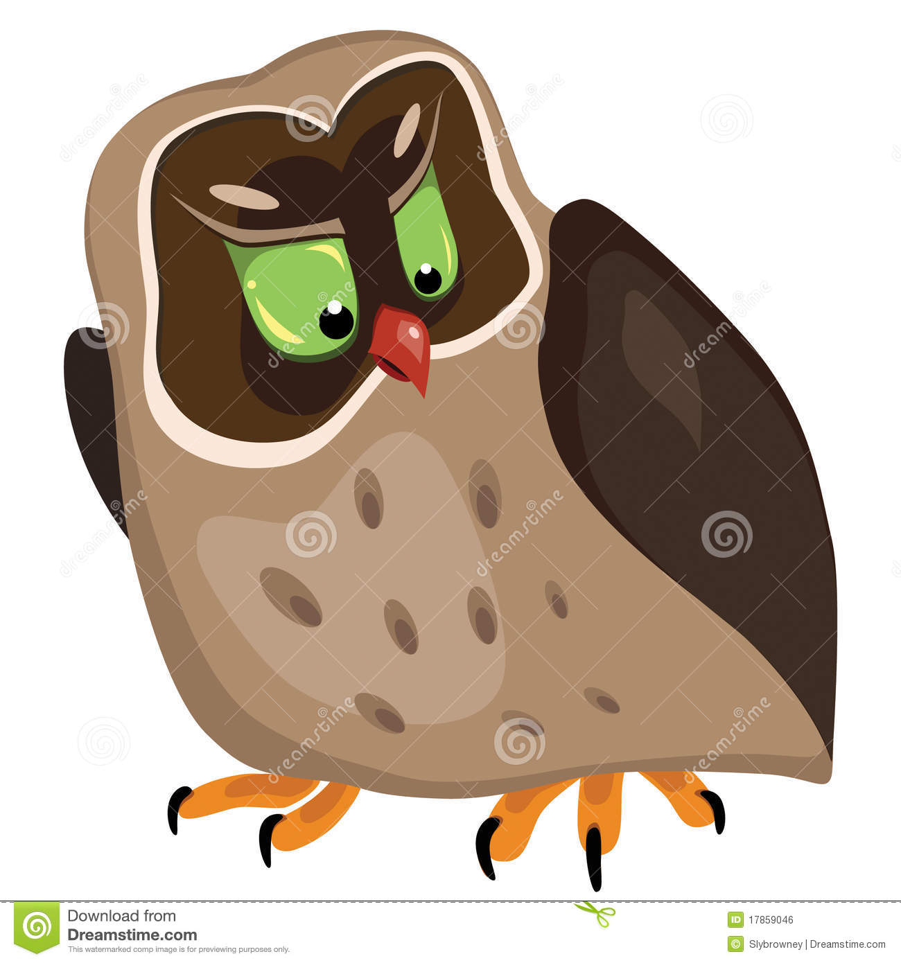 Angry Owl Royalty Free Stock Image   Image  17859046