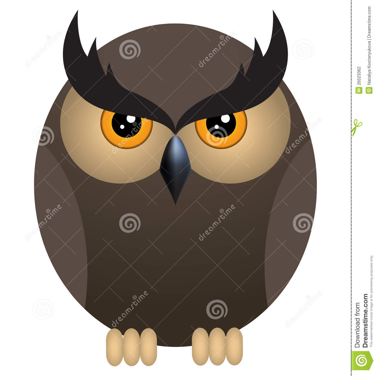 Angry Owl Stock Photography   Image  26523362