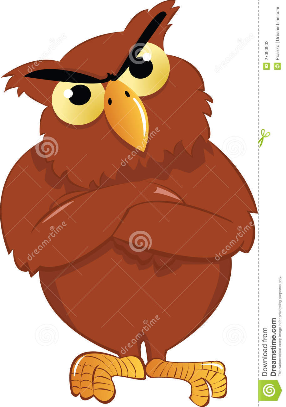 Angry Owl Stock Photography   Image  27090902